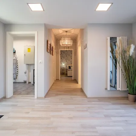 Savannah-blue * Бёргеренде-Ретвиш