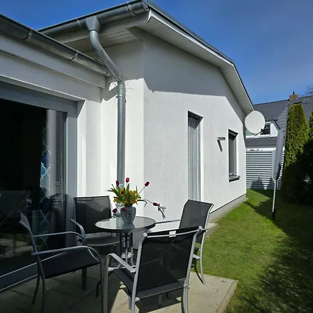 Savannah-blue Бёргеренде-Ретвиш